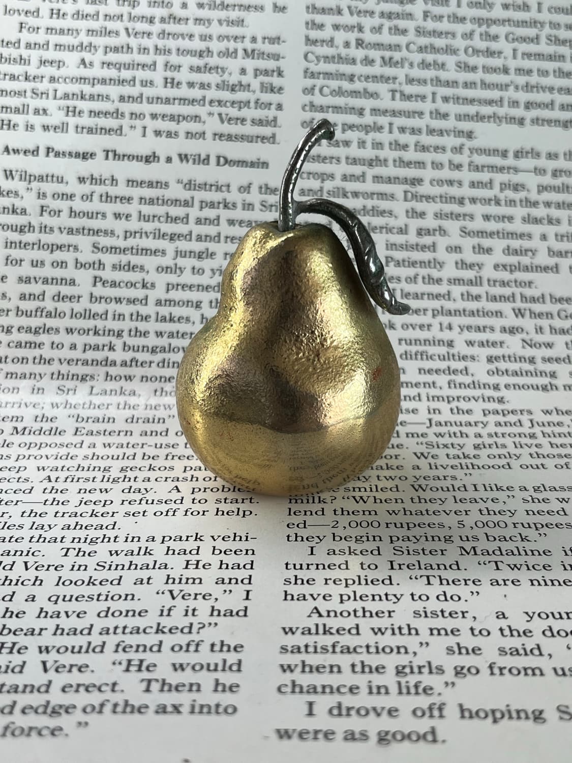 TIMEX 서양배 탁상시계 상품이미지7