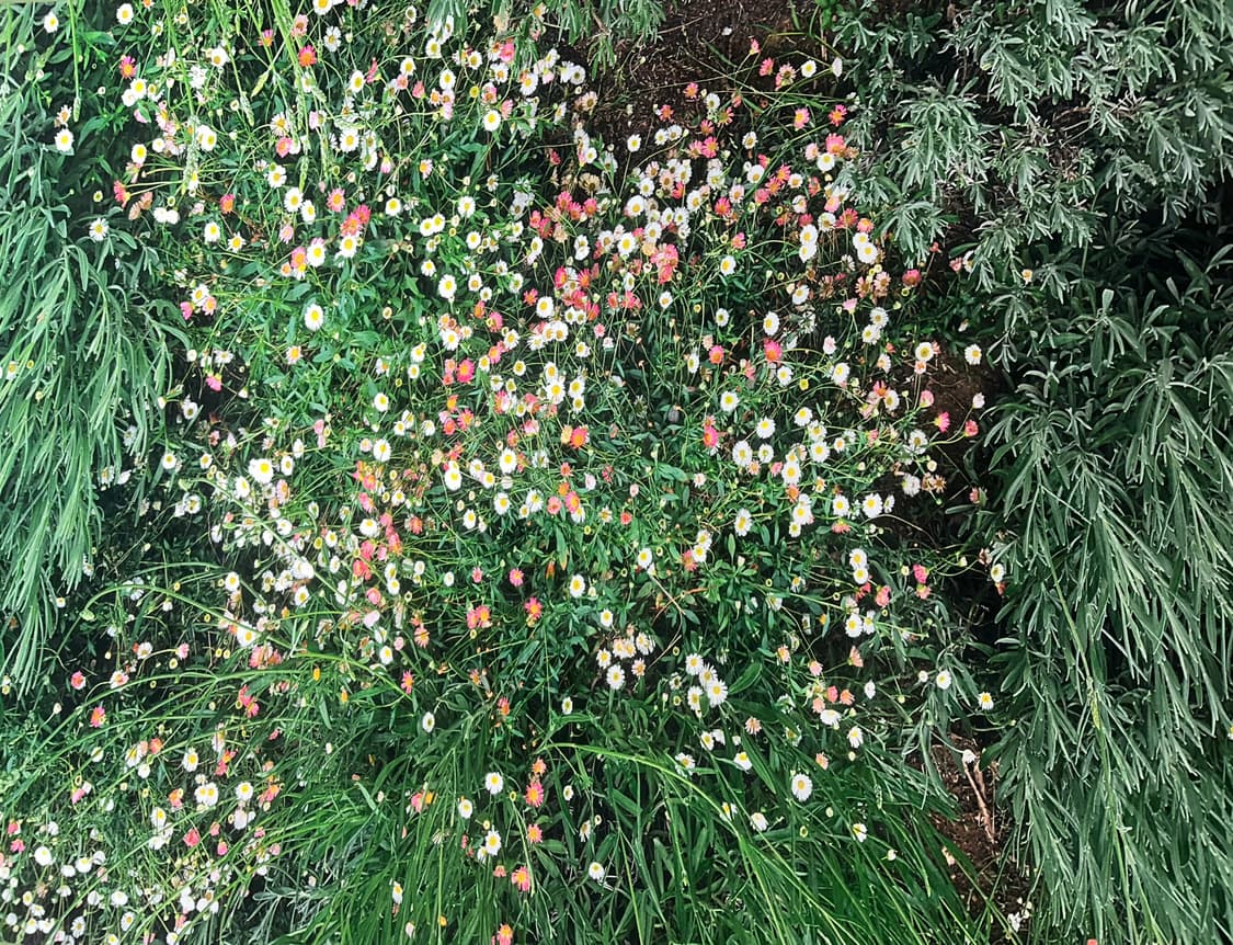 플러피아카이브 러그 대형 상품이미지3