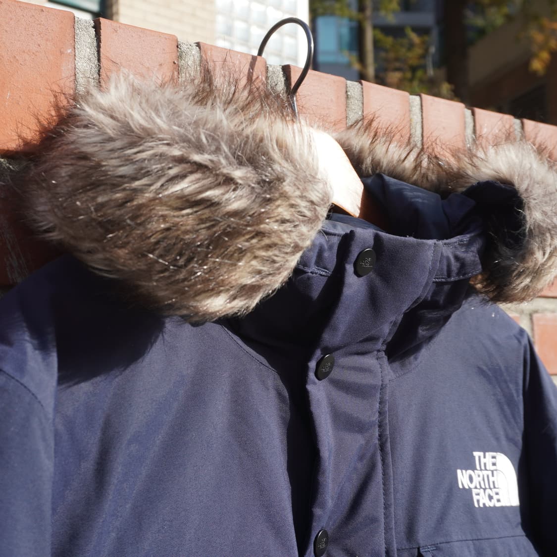 노스페이스 유럽판 고담 다운 패딩 자켓 상품이미지2