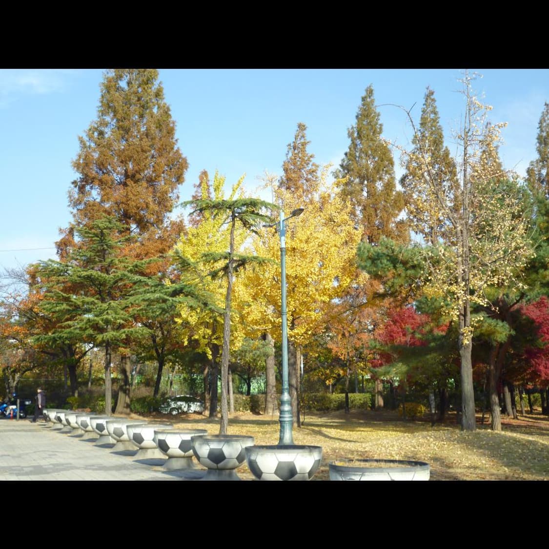 파나소닉 DSC-S1  파스텔 블루 소프트💎 빈티지 디카 디지털카메라 상품이미지8