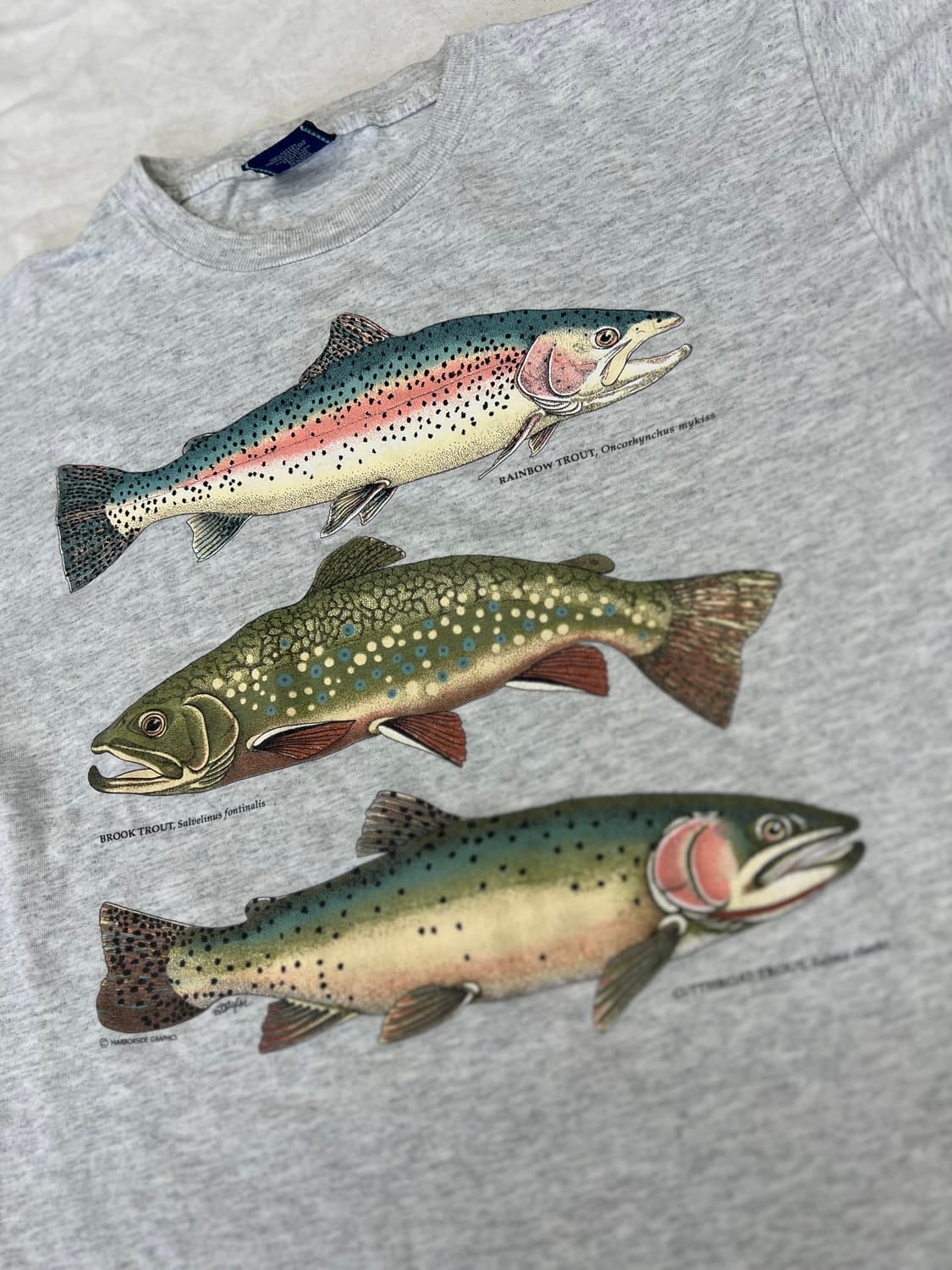 USA TRout - M  상품이미지7
