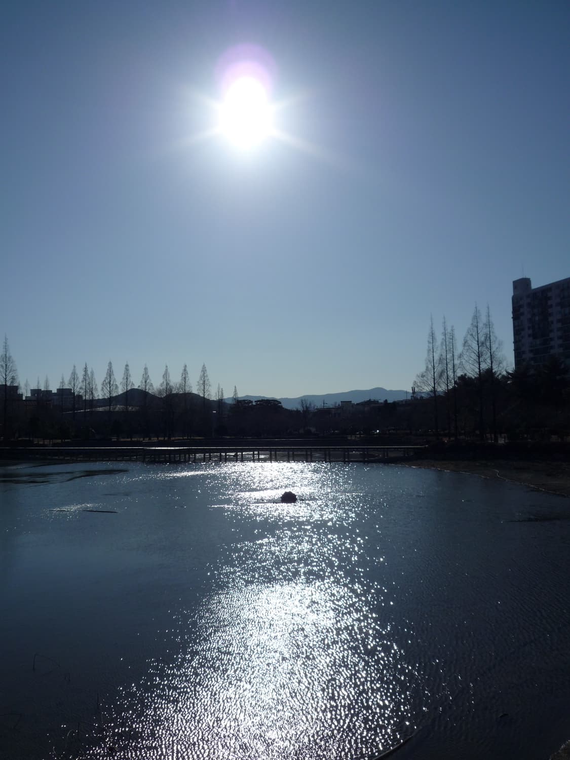 작례 O) 상태최상 파나소닉 루믹스 dmc fx 150 상품이미지7