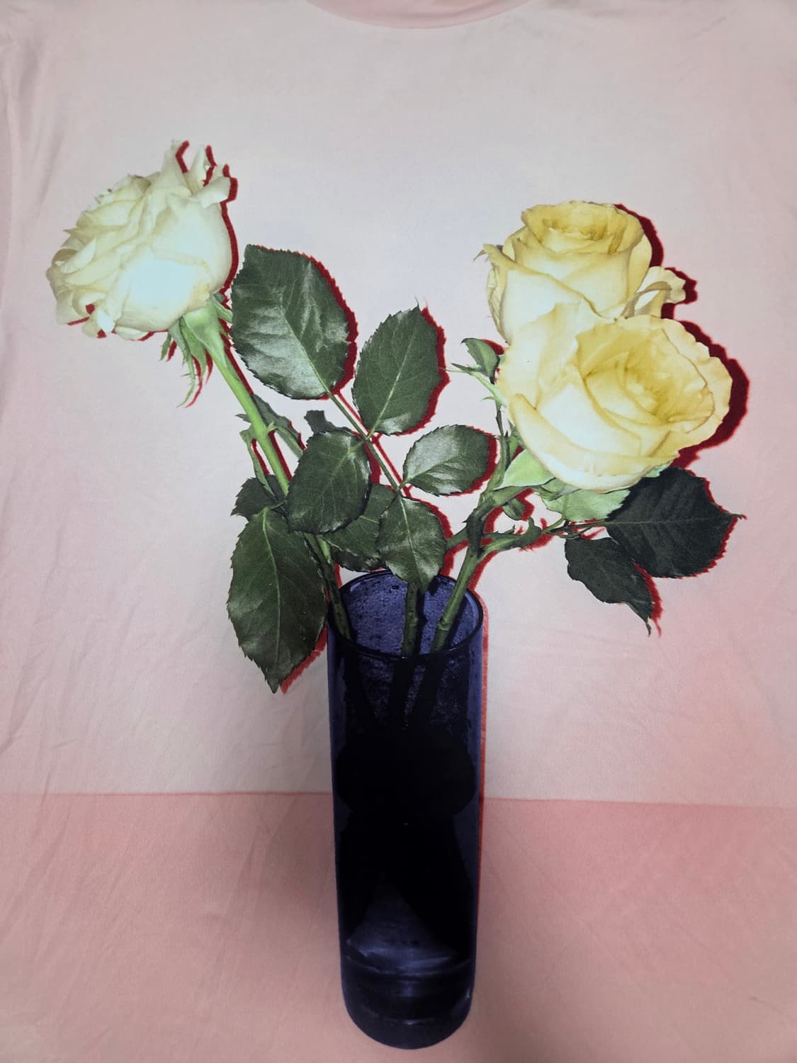 아크네스튜디오 로즈 프린트 반팔티 상품이미지4