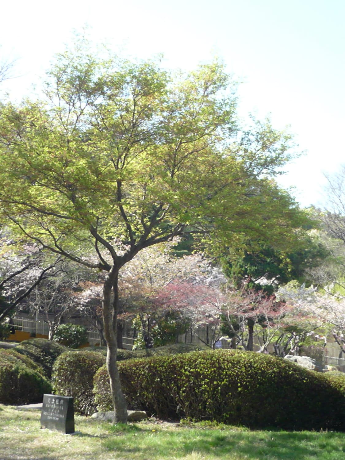 컨디션S급❗️ 작례⭕️ 파나소닉 루믹스 DMC-FS3 블랙 디지털카메라 상품이미지9