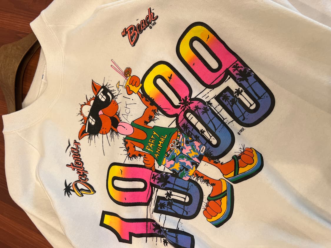 80s Jerzees CHEETOS 카툰 빈티지 스웻셔츠 (USA) 상품이미지6