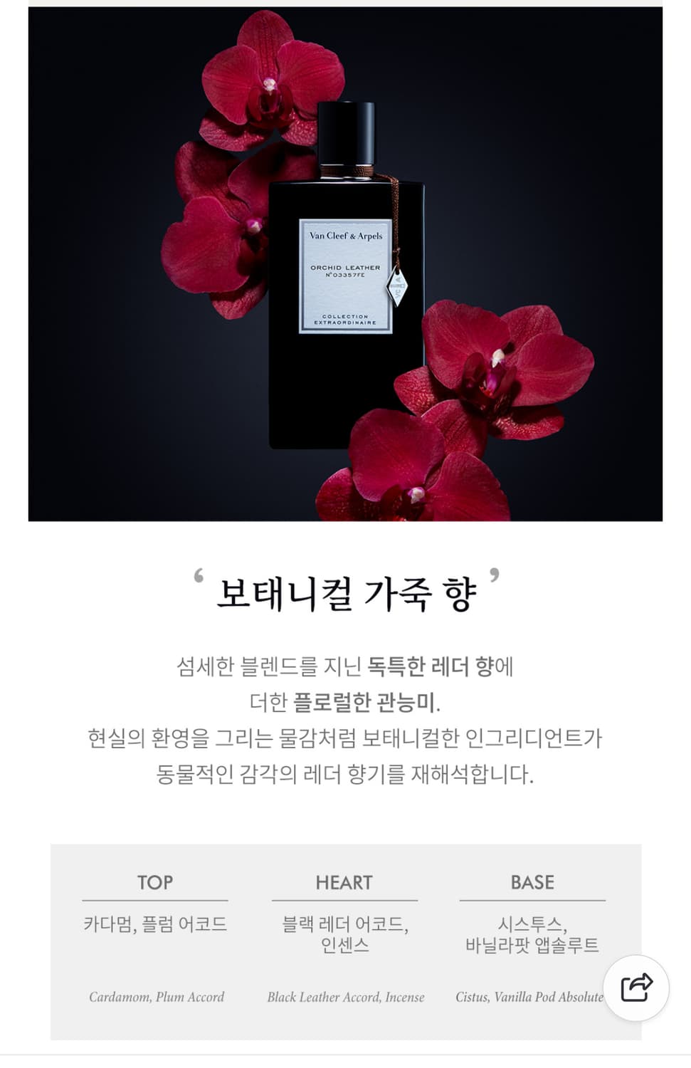 반클리프앤아펠 향수 Orchid Leather 45ml 국문택 상품이미지5