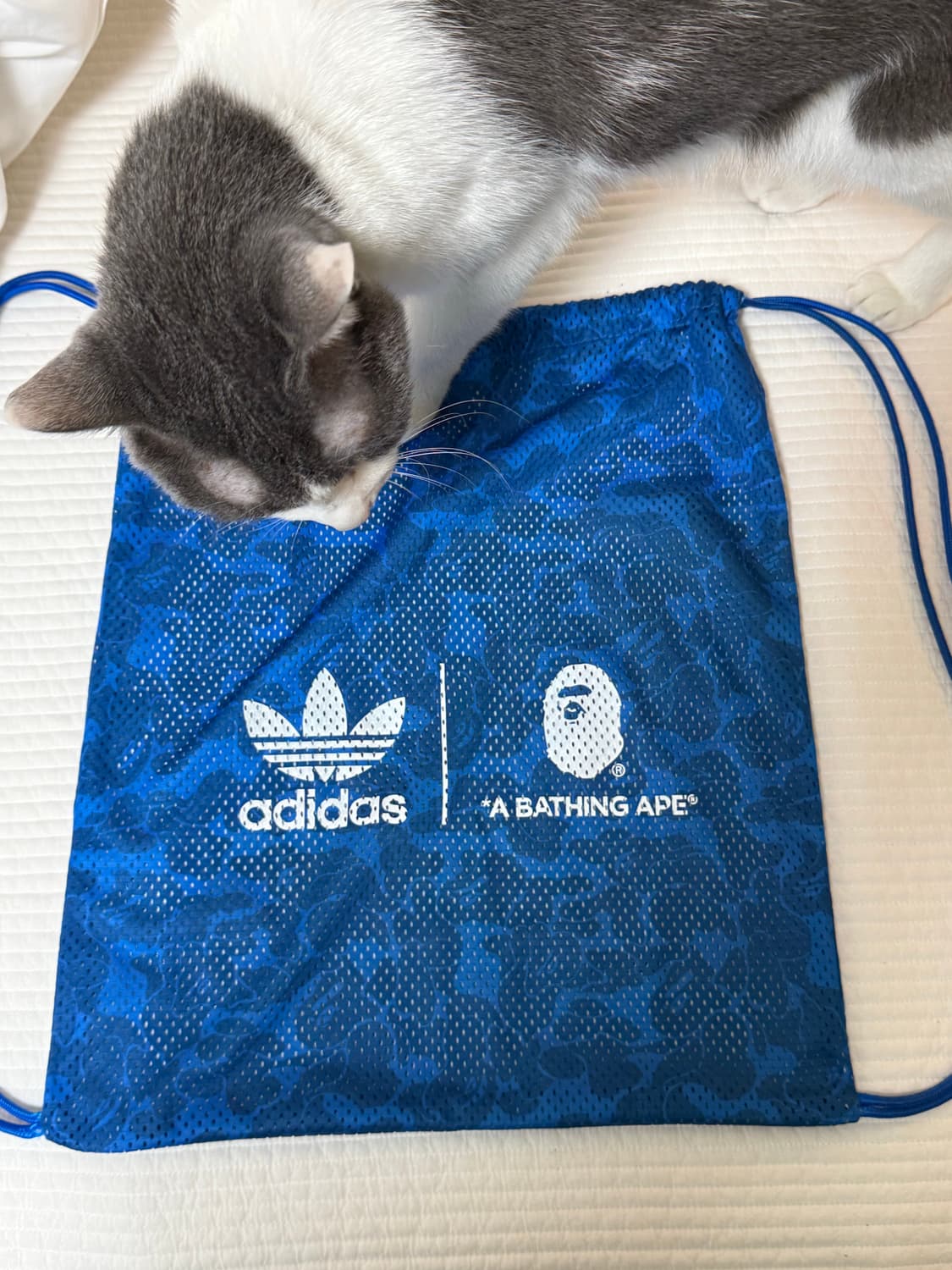 베이프 아디다스 스트링백 상품이미지1