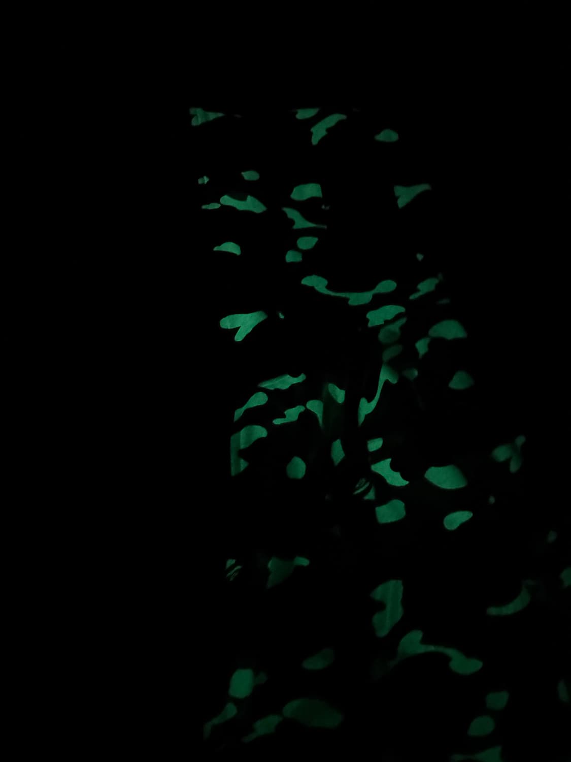 베이프 카모 샤크후드 야광 화이트 상품이미지5