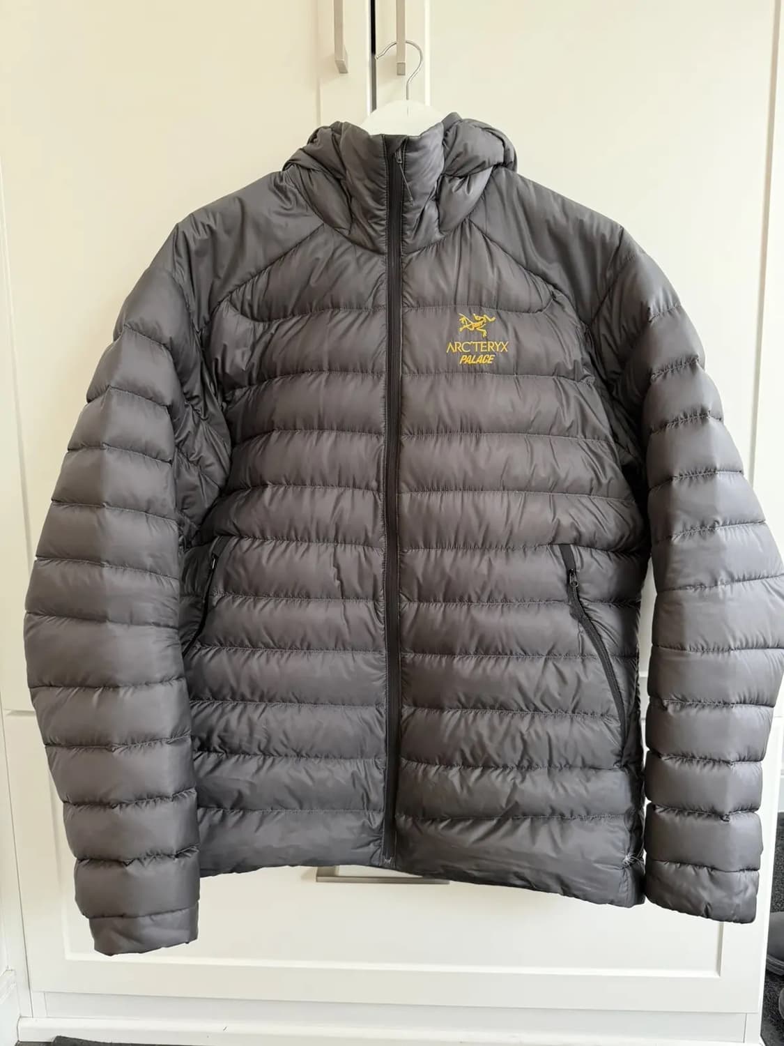 L 아크테릭스 x 팔라스 세륨 LT 후디 패딩 자켓 상품이미지1