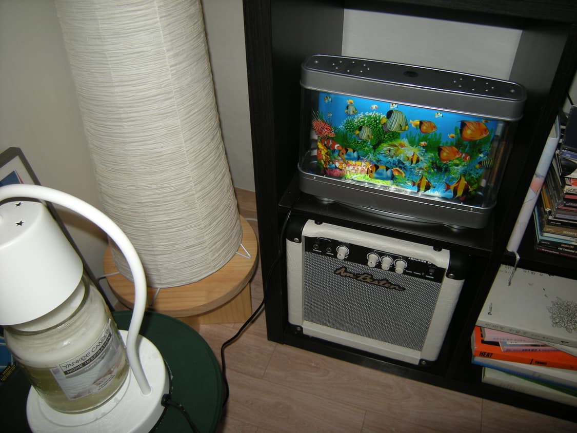 작례🅾️니콘 쿨픽스 p50 디카 디지털카메라 상품이미지8