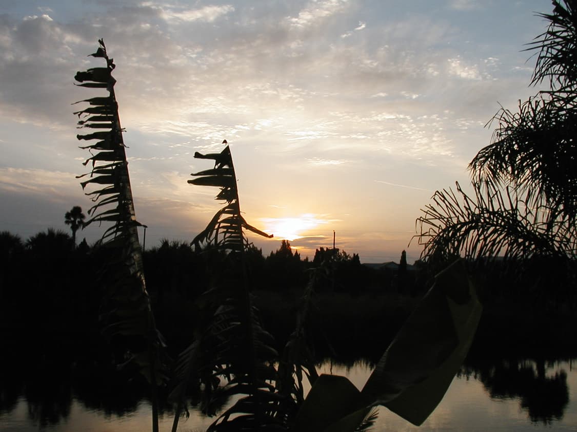 올림푸스 카메디아 D-510 ZOOM 빈티지 디지털카메라 상품이미지10