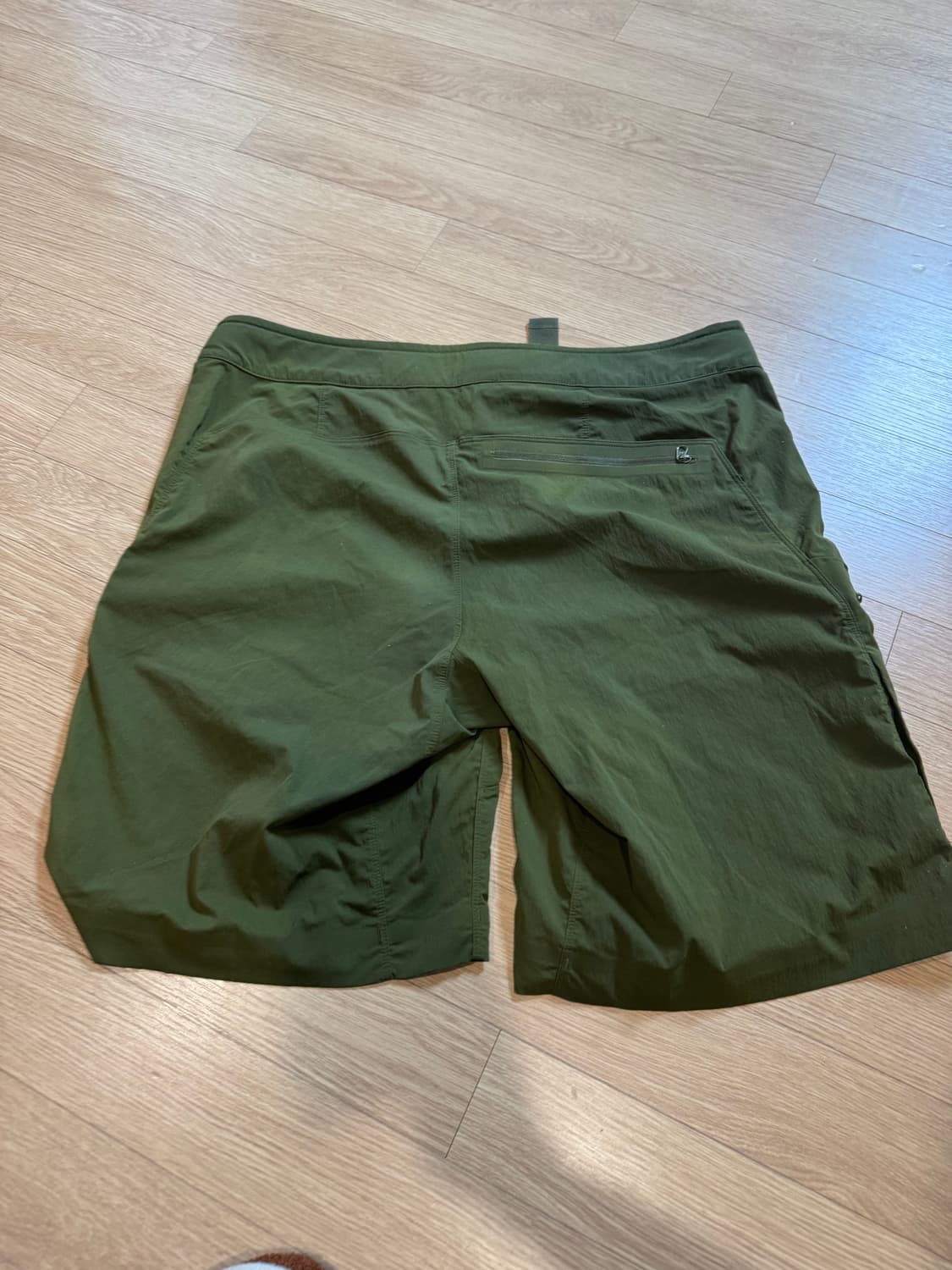 아크테릭스 팰리세이드 트랙킹 숏팬츠  상품이미지2