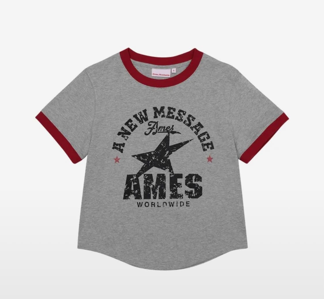아메스 월드와이드 VINTAGE STAR TEE GREY 상품이미지1