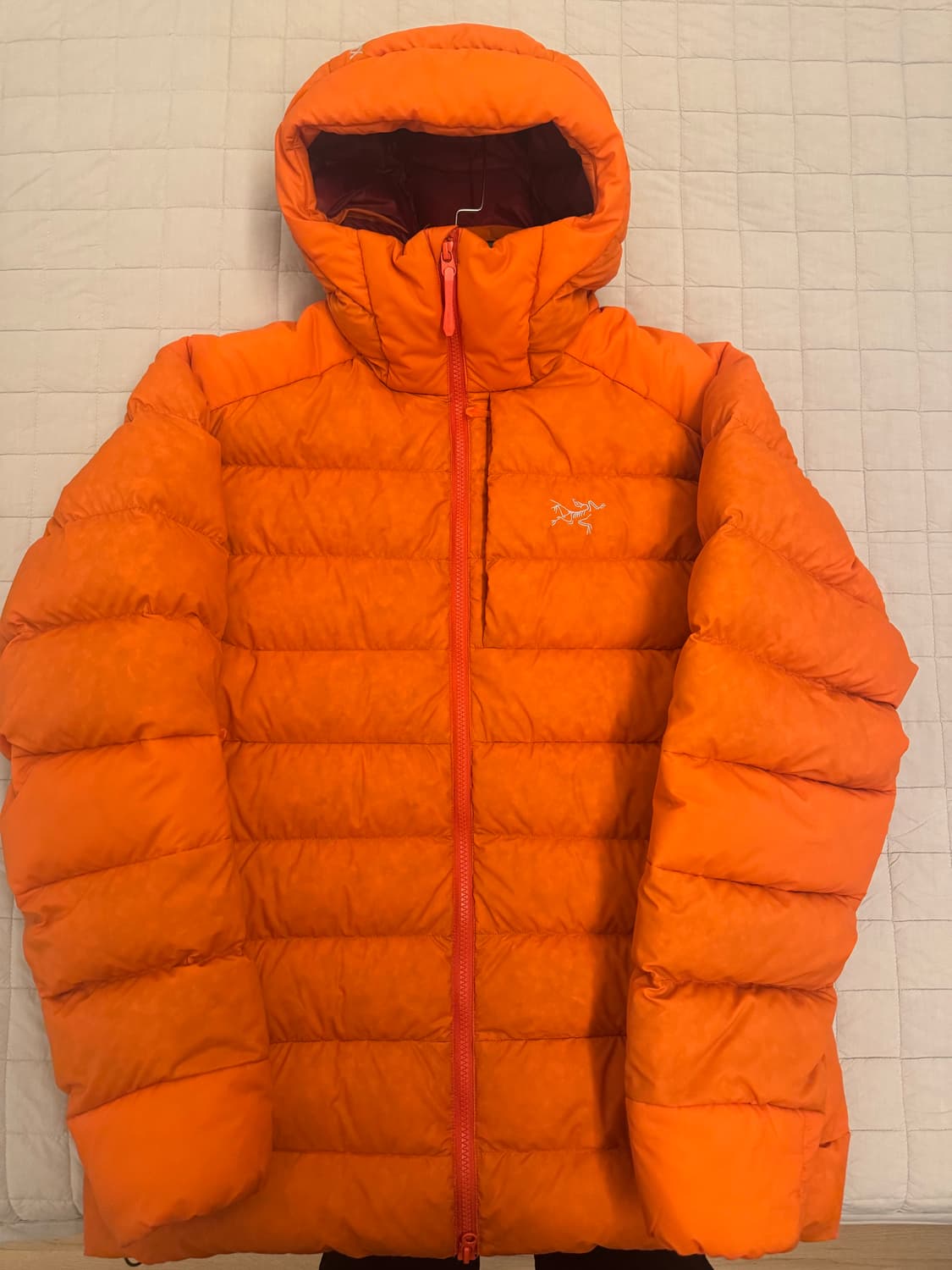 아크테릭스 토륨 후디 페놈 L 상품이미지1