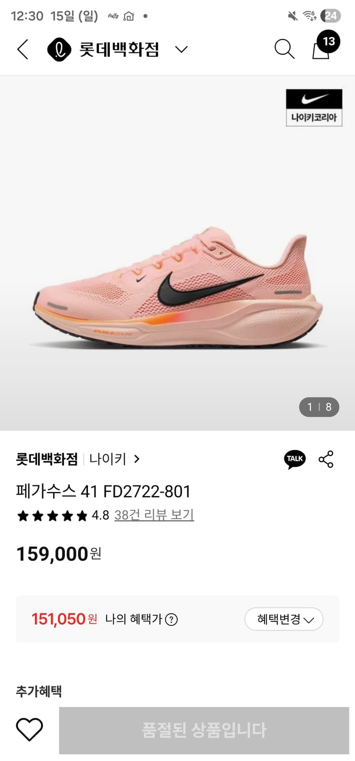 나이 페가수스41  275 상품이미지1