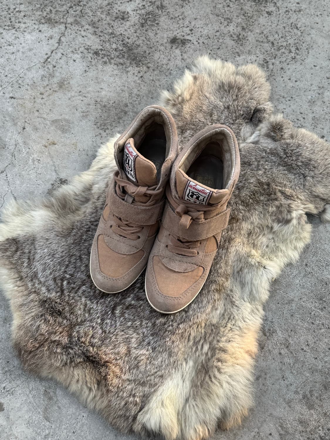 Ash 보위 웨지힐 하이탑 스니커즈  상품이미지6