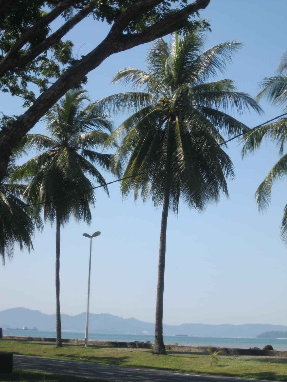 작례O) 캐논 파워샷 A3100 빈티지 디카 Canon powershot 상품이미지5