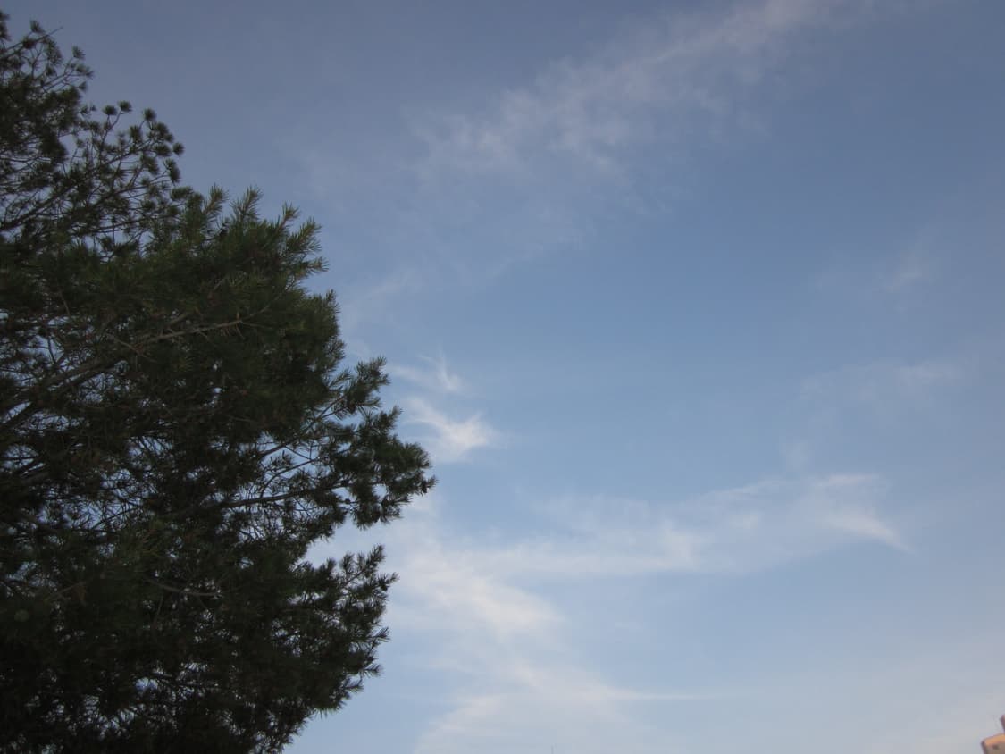 캐논 익서스 ixus 105 (ixy 200f) 판매합니다. (작례O) 상품이미지8