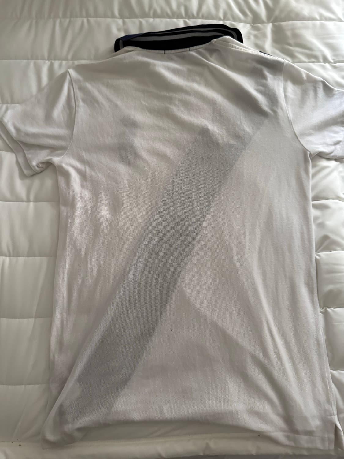 폴로 빅포니 치프키프 상품이미지2