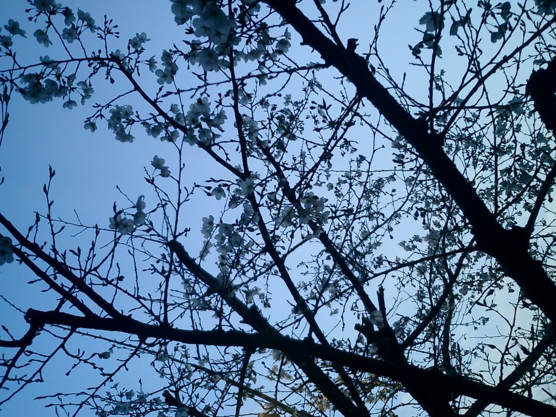 카시오엑슬림 EX-S2 디카 상품이미지6