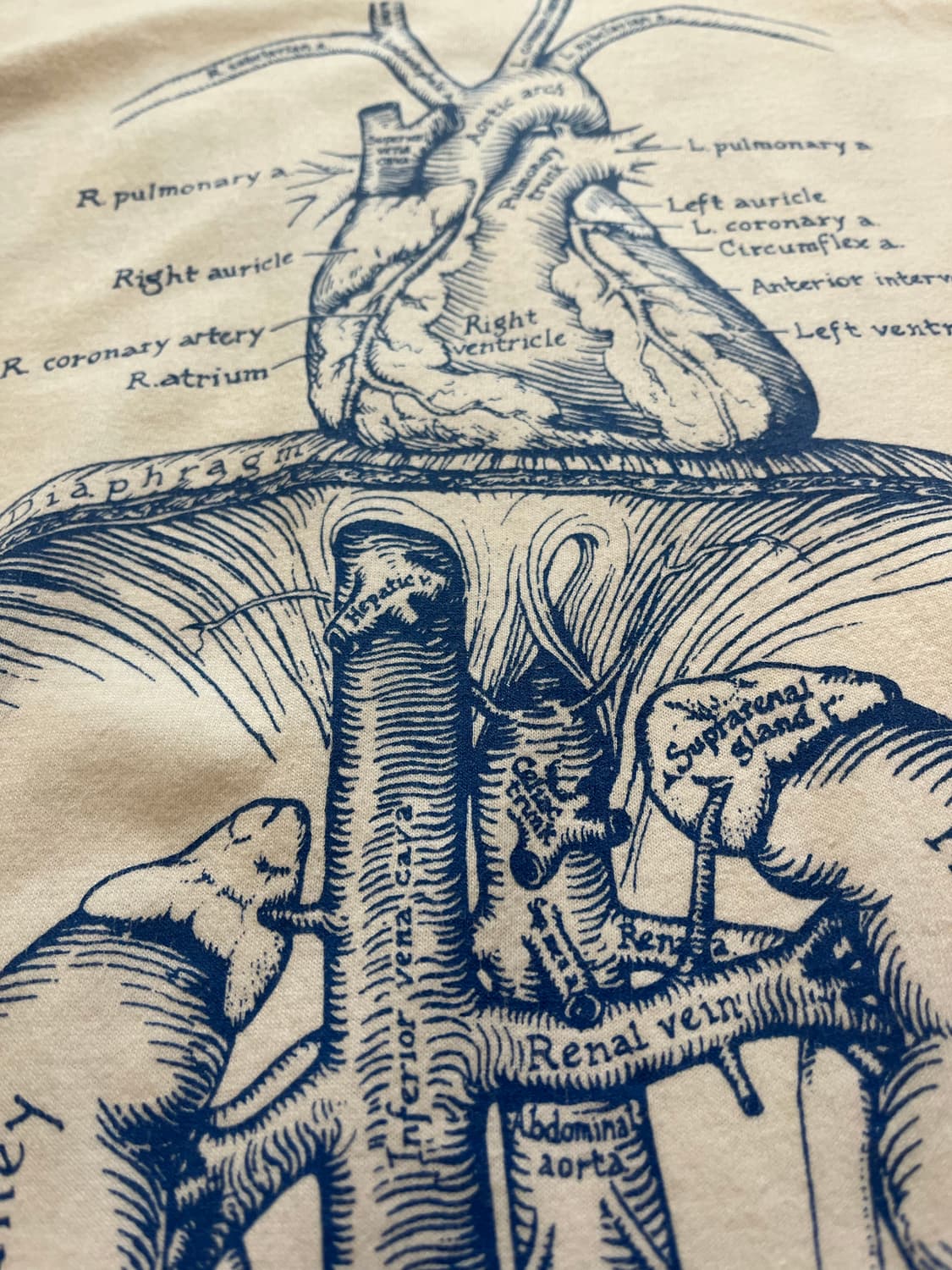 90s VINTAGE NDRI ANATOMY PRINT TEE USA 상품이미지4