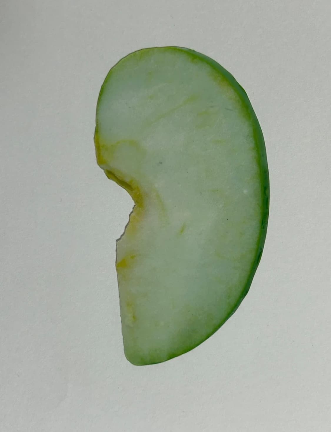 이옥토 한정판 풋사과 책갈피 상품이미지1