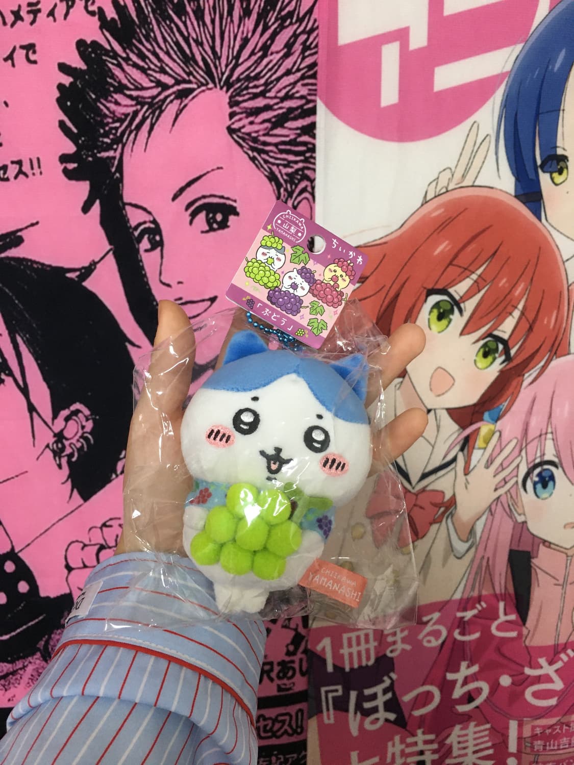 (New) 먼작귀 하치와레 지역 한정 포도 마스코트 키링 인형 상품이미지1