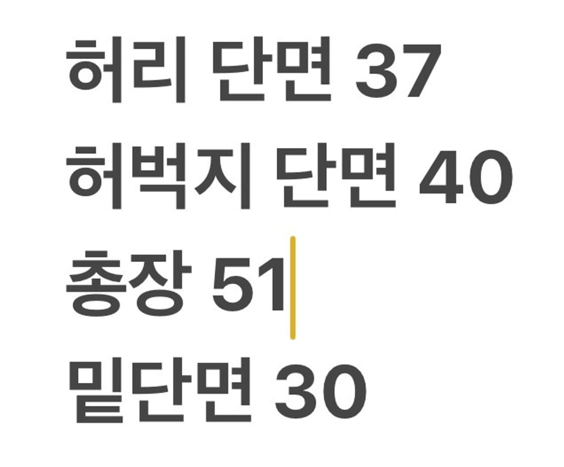 [정품/XXL] 나이키 레오파드 퍼 밴딩 반바지 b18 상품이미지7