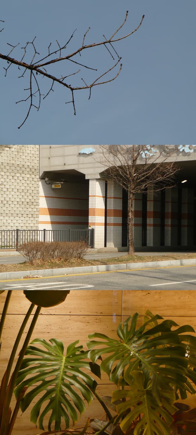 민트급) 파나소닉 루믹스 DMC-LZ7 작례⭕️ 라이카 렌즈 감성 디카 상품이미지2