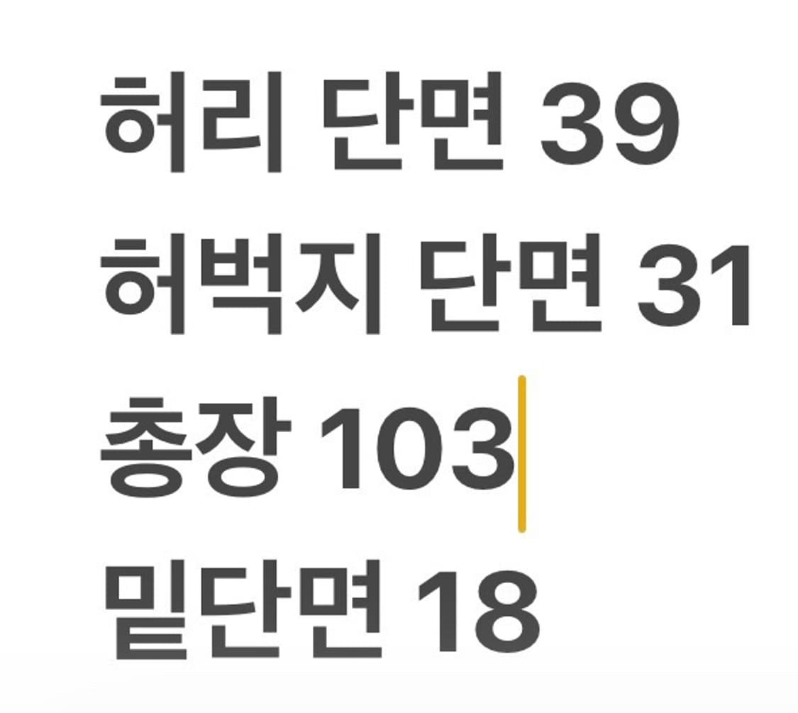 [정품/81] 내셔널지오그래픽 블랙 카고 바지 b13 상품이미지6