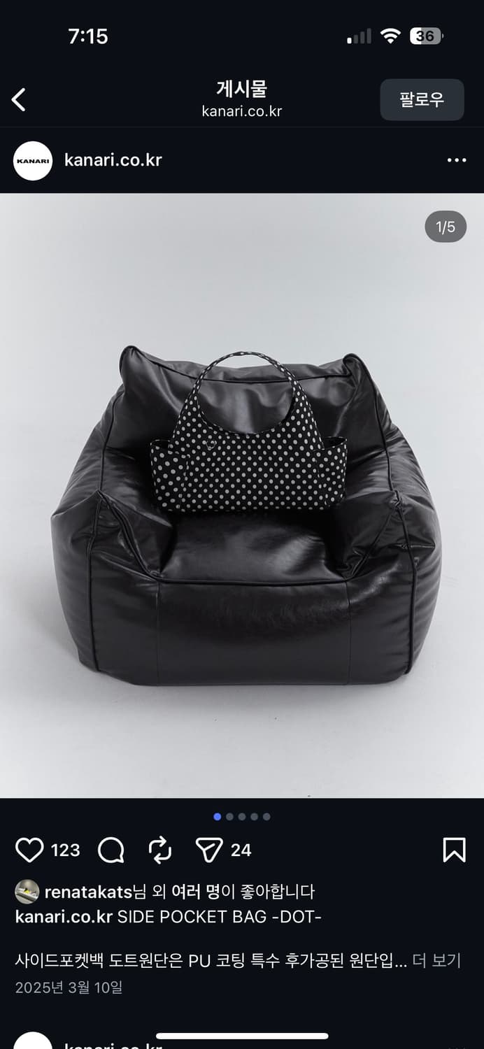 Kanari 사이드포켓 도트백 상품이미지4