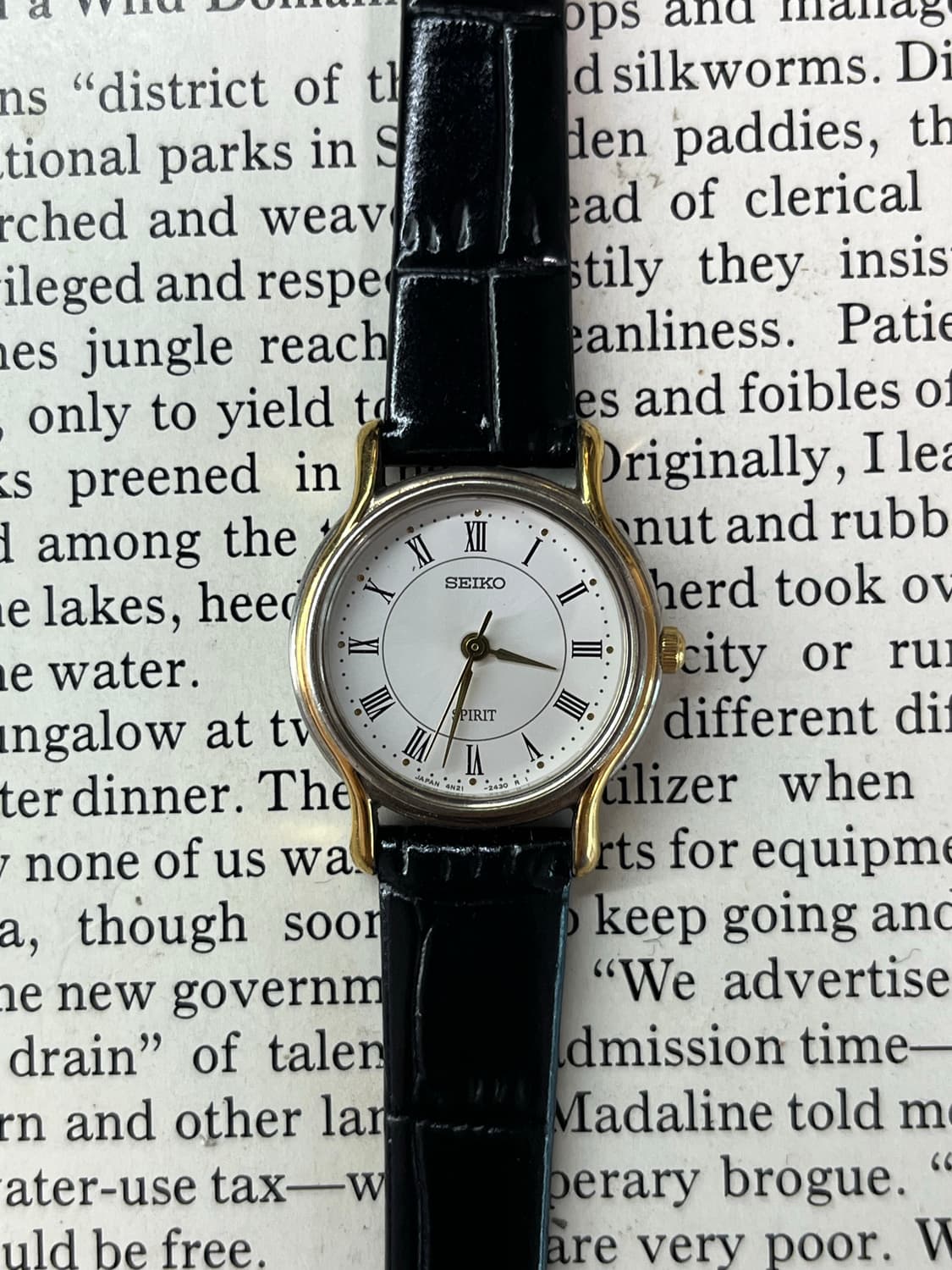 SEIKO SPIRIT 로마자 레이디스 쿼츠  상품이미지1