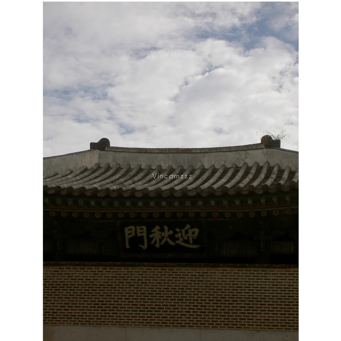 [필름색감강추] Minolta 미놀타 디마지 DiMAGE G400 상품이미지8