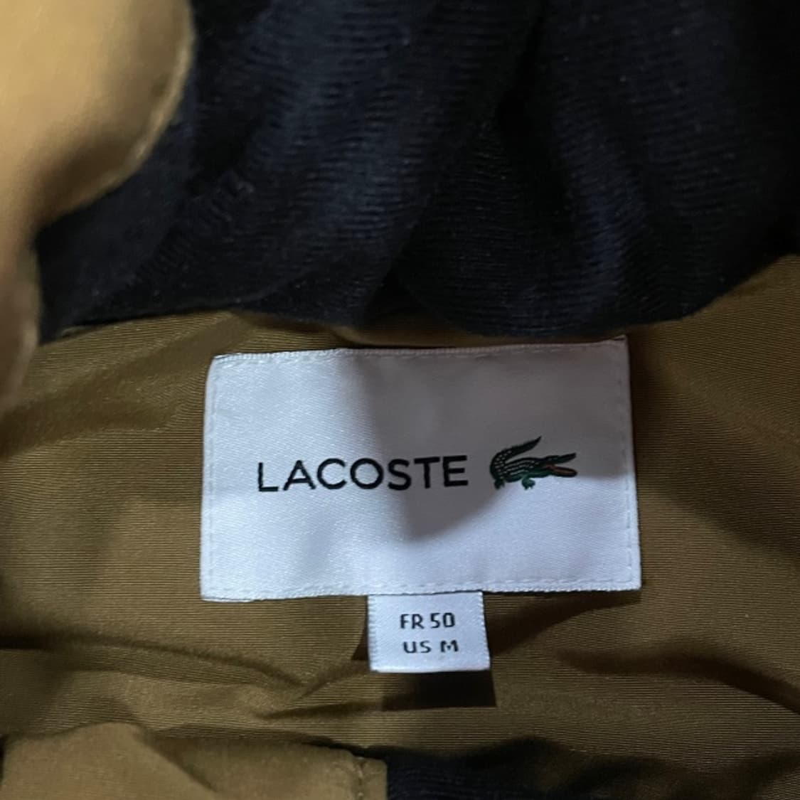 100 라코스테 덕 다운 패딩  상품이미지3