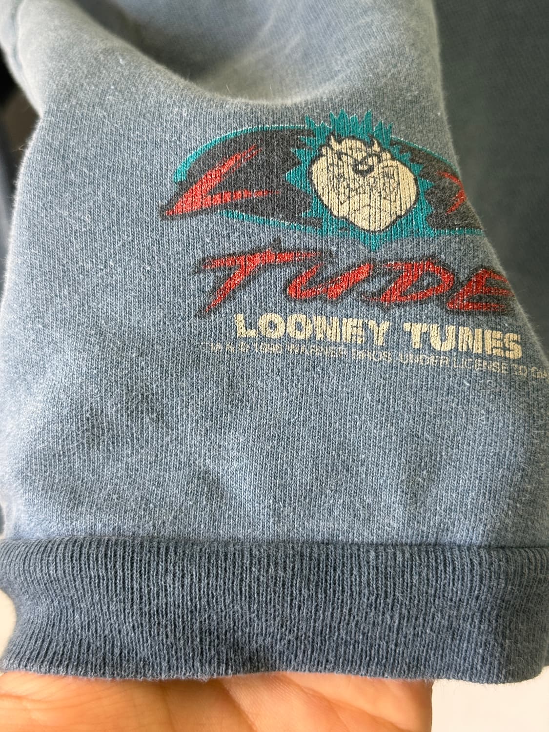 90s looney tunes taz sweatshirt 테즈 루니툰즈 상품이미지4