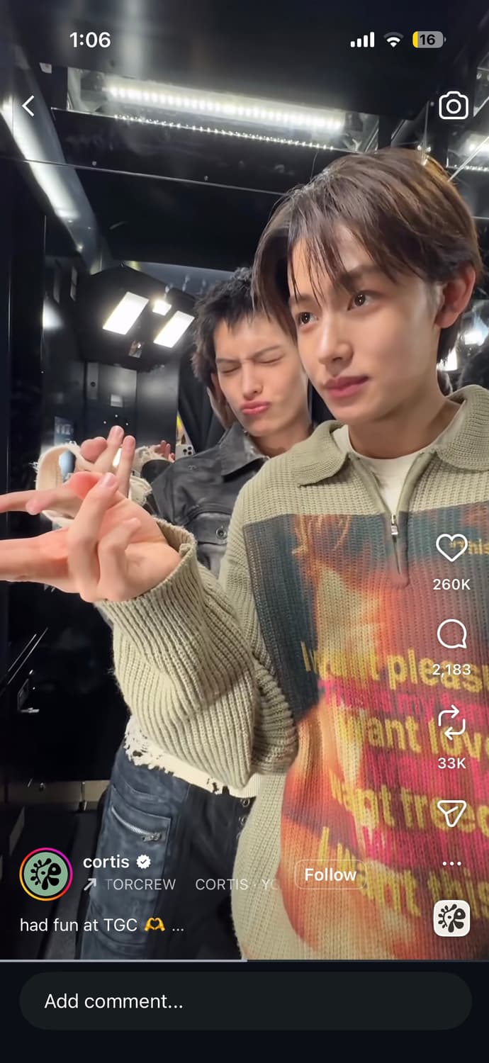 코르티스 디스이즈마이패밀리 카키 니트 상품이미지5