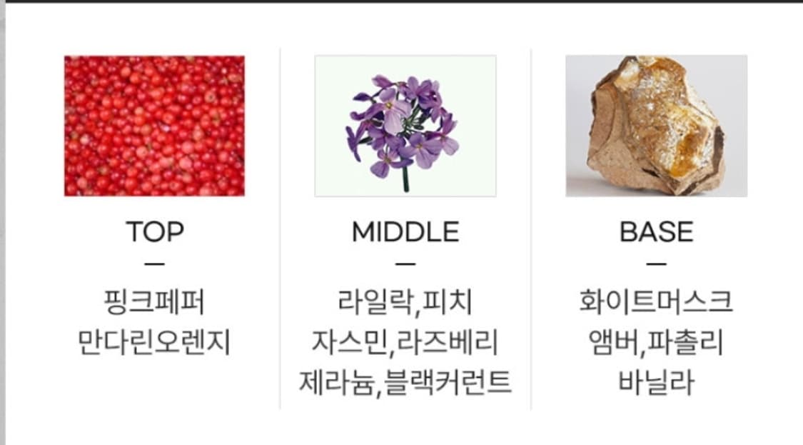 구찌 길티 뿌르팜므 EDT 50ml 상품이미지4