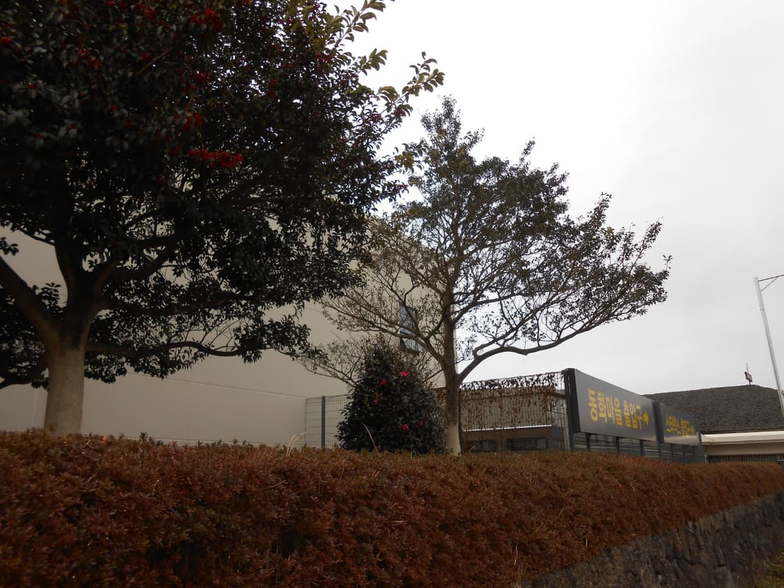 니콘 쿨픽스s3300 판매합니다 상품이미지9