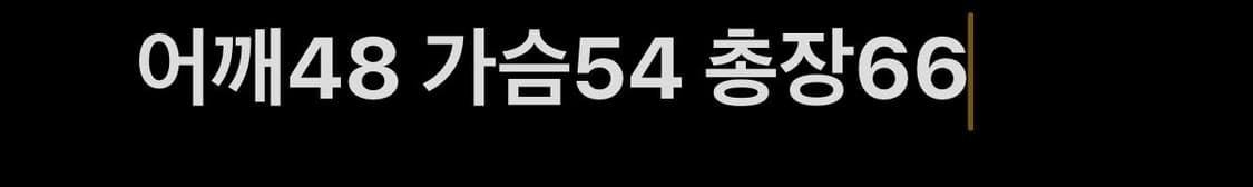 노스페이스 600 패딩 자켓 상품이미지7