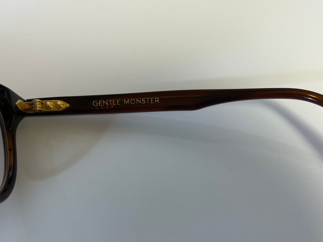 젠틀몬스터 데이 (brown) 상품이미지4