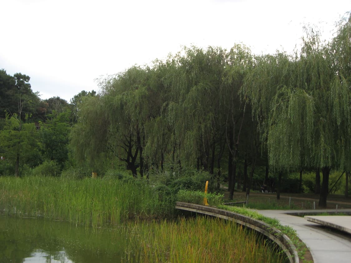 작례) 캐논 익서스 800is 판매합니다 상품이미지3