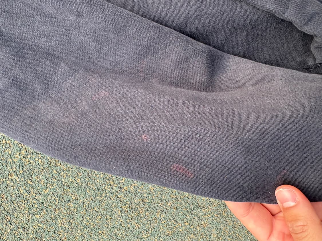 홀리스터 후드집업 여성 m 상품이미지4