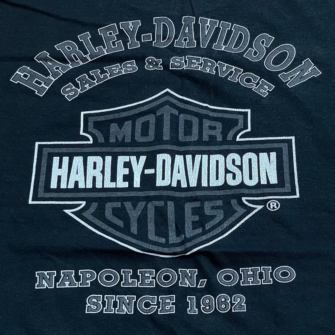 [L] 할리데이비슨 블루 플레임 롱슬리브 상품이미지4