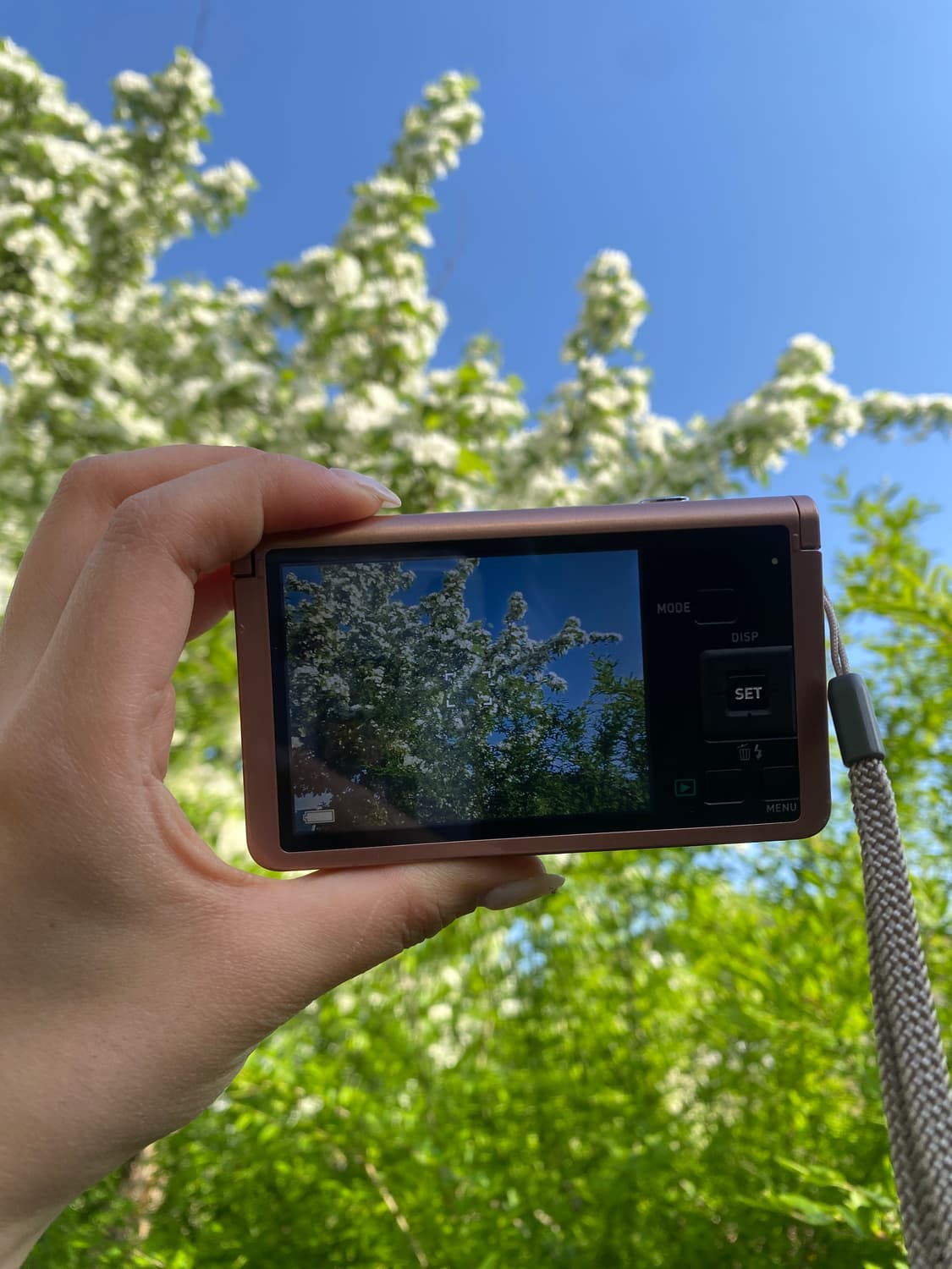 풀박✨ casio exilim zr50 핑크디카 상품이미지9