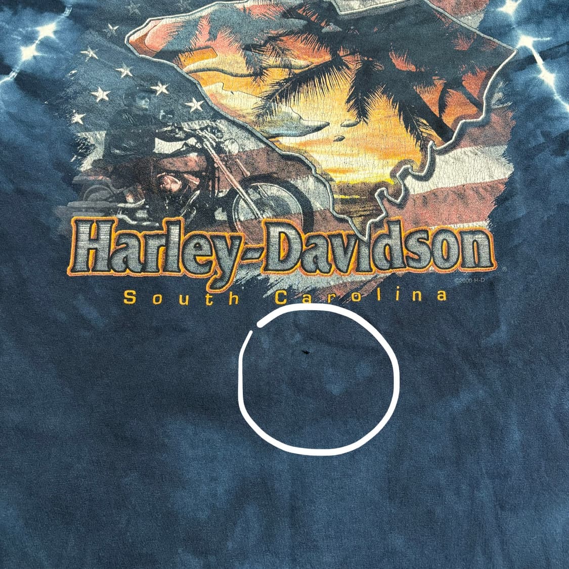 🇺🇸 90s 할리 데이비슨 타이다이 롱슬리브 블루 상품이미지9