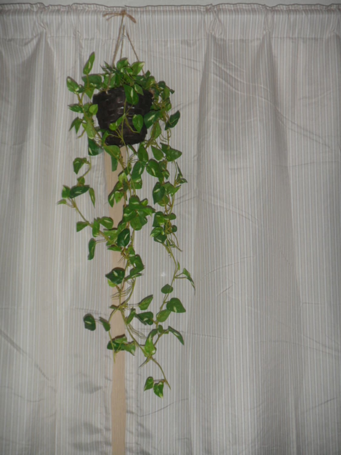 Samsung VLUU ST100 한효주디카 (작례⭕️) 상품이미지8