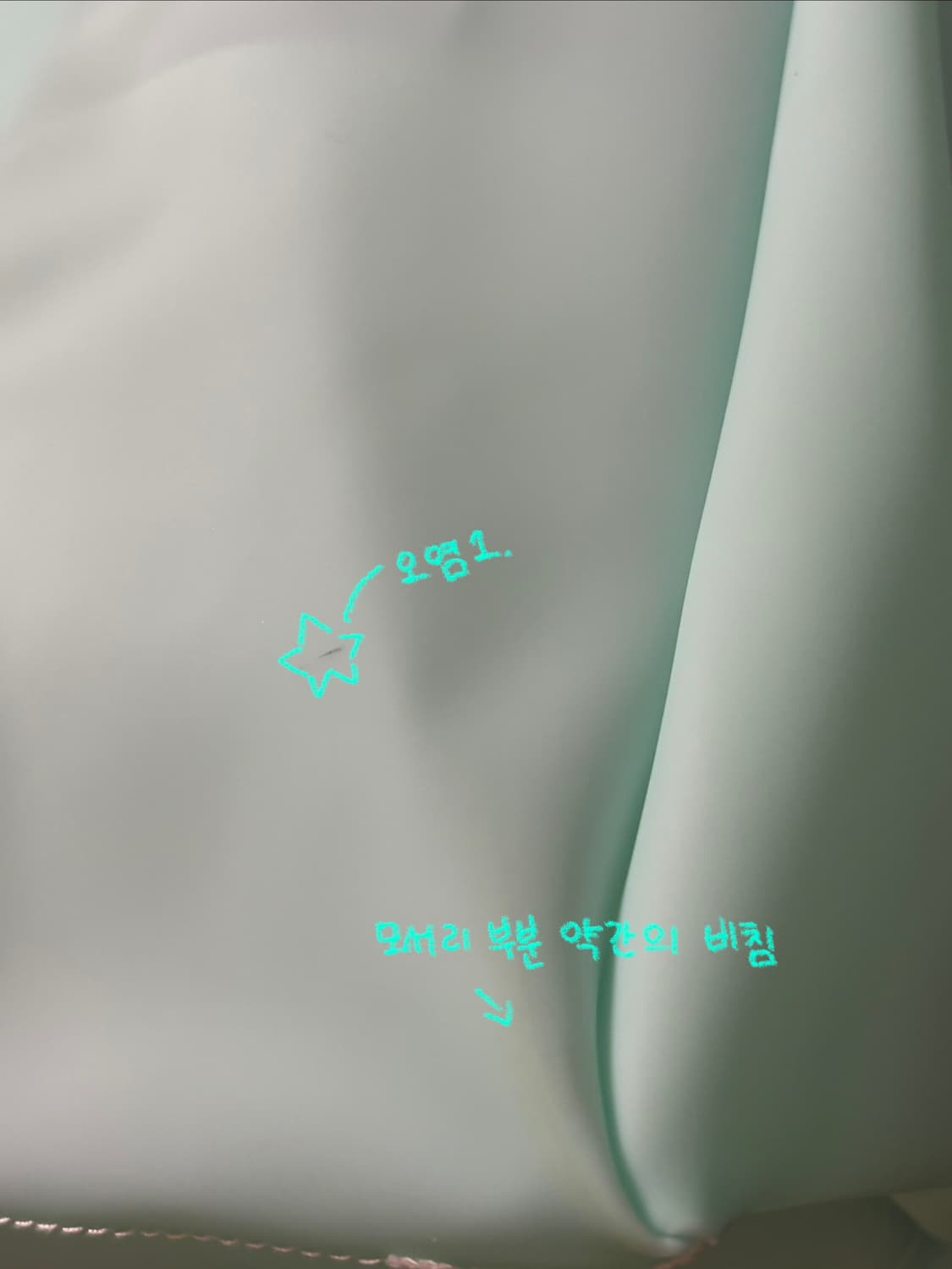 🐬아쿠아민트 젤리버킨 B급! 상품이미지2