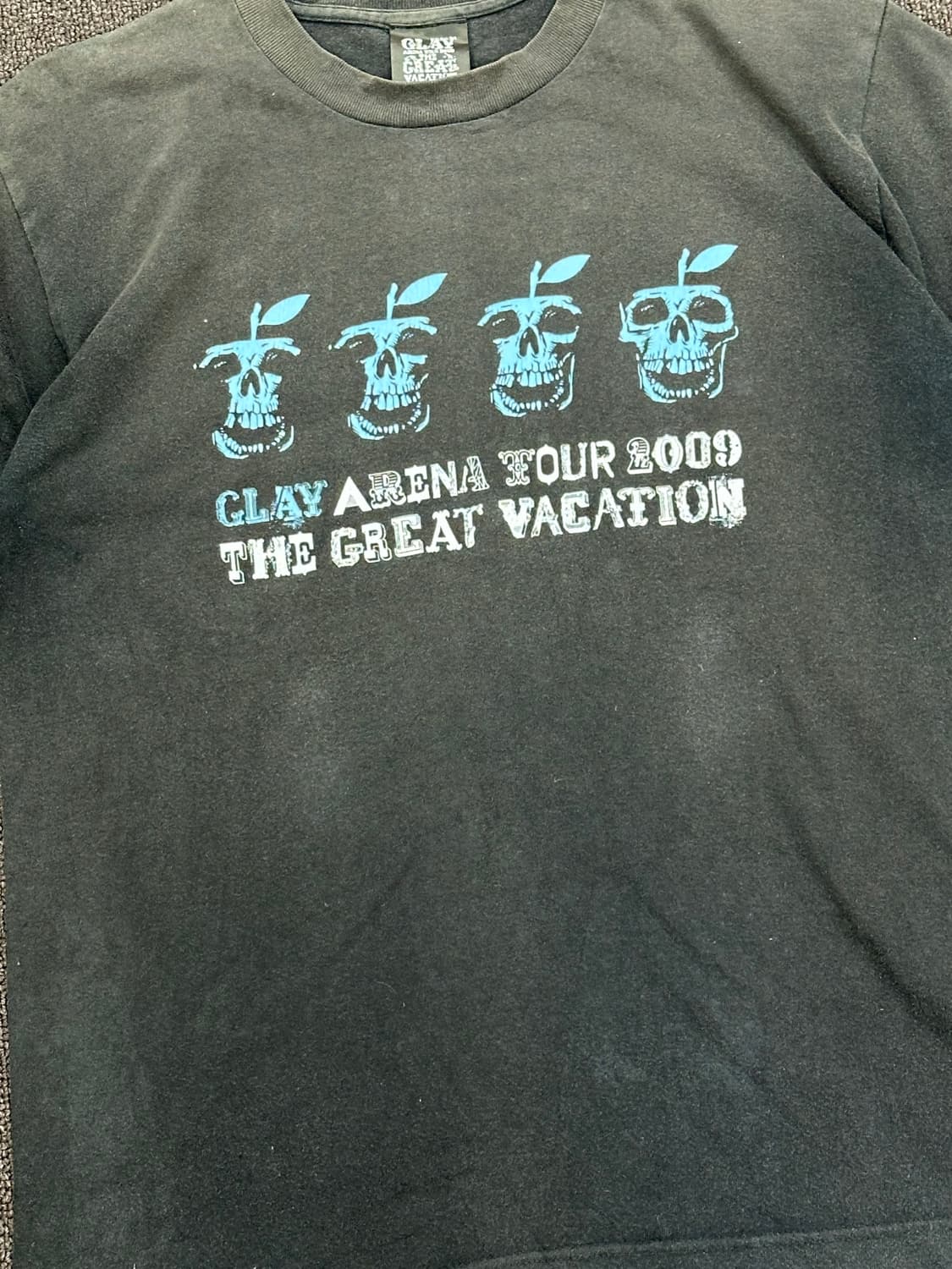 OS)Glay Area Tour 2009 반팔 상품이미지4