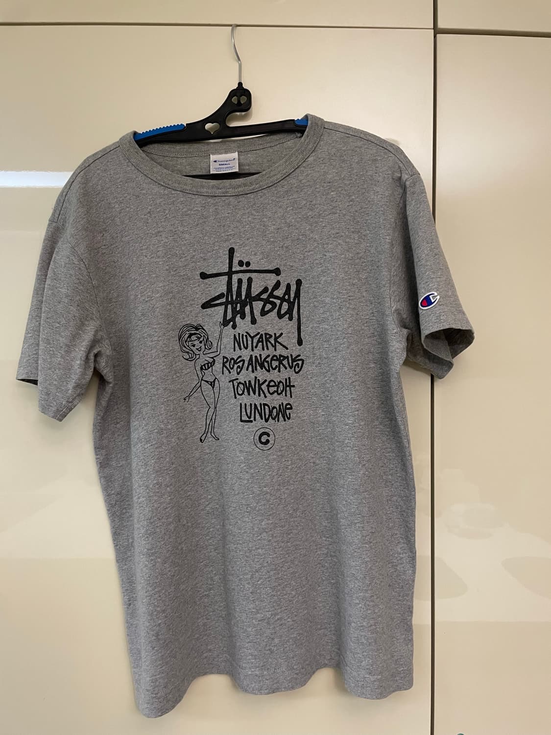 스투시X챔피온 반팔 상품이미지2