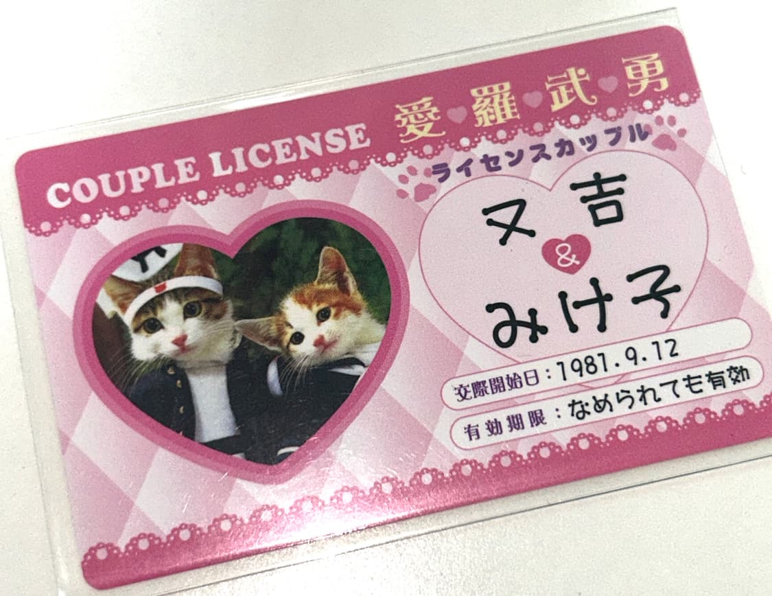 나메네코 애인증 불량고양이 카드 일본 고전 상품이미지1